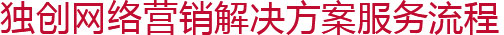 獨(dú)創(chuàng)網(wǎng)絡(luò)營(yíng)銷(xiāo)解決方案服務(wù)流程